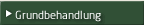 Aussenholz Grundbehandlung