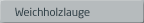 Vorbehandlung mit Weichholzlauge